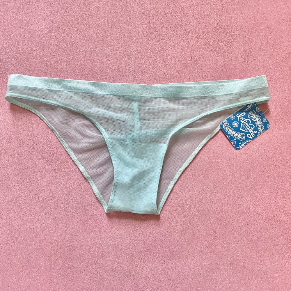 Free People sheer pastel mint cheeky panties